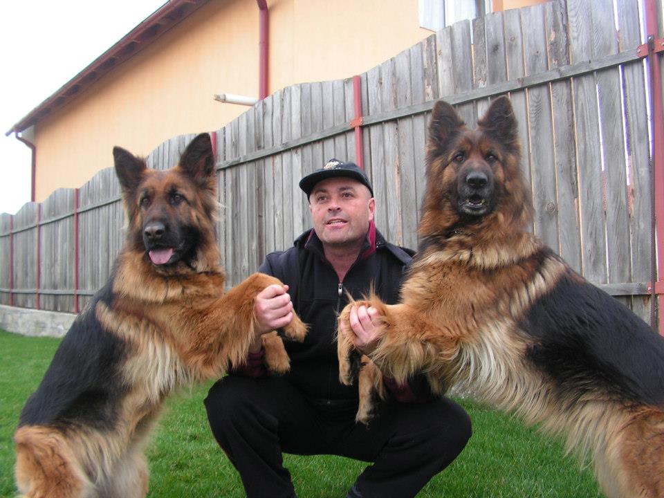 liviu iza mabel onia 2013