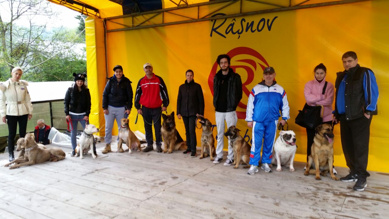 Fotografii de copertă